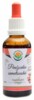 Penízovka sametonohá AF tinktura 50ml