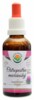 Ostropestřec mariánský AF tinktura 50ml Silybum marianum