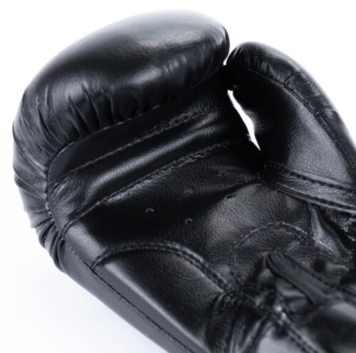 Juniorské boxerské rukavice DBX ARB-407v5 6 oz.
