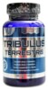 Tribulus terrestris 100 tbl.