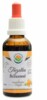 Třezalka tečkovaná AF tinktura 50ml Hypericum perforatum
