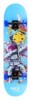 Skateboard NILS Extreme CR3108 SA Gravity