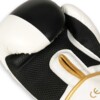 boxerské rukavice DBX B-2v16
