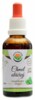 Chmel otáčivý AF tinktura 50 ml Humulus lupulus