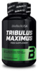 Tribulus Maximus 90 tbl