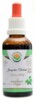 Jiaogulan Thailand AF tinktura ženšen pětilistý 50ml Gynostemma pentaphyllum