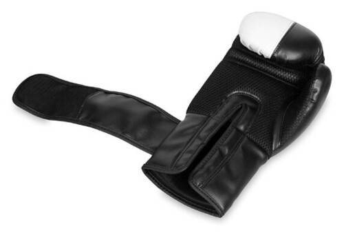 Boxerské rukavice DBX B-2v20