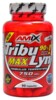 Tribulyn Max 90% 90 kapslí
