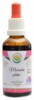 Mučenka pletní AF tinktura 50ml Passiflora incarnata