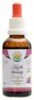 Kozlík lékařský - baldrián AF tinktura 50ml Valeriana officinalis