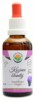 Kozinec blanitý AF tinktura 50ml Astragalus membranaceus