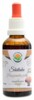 Shiitake Houževnatec AF tinktura 50ml Lentinula edodes