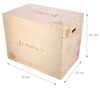 Plyo Box DSC01