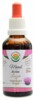 Maral - Leuzea AF tinktura 50ml ecdysteron