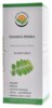 Chanca piedra DS sirup 180 ml Phyllanthus niruri