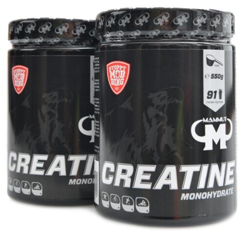 Creatine monohydrat 2 x 550 g