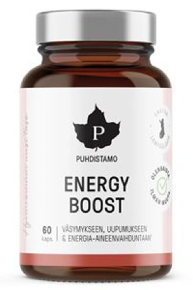 Energy Boost 60 kapslí