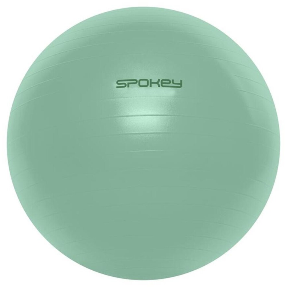 FITBALL Gymnastický míč 75 cm včetně pumpičky, zelený