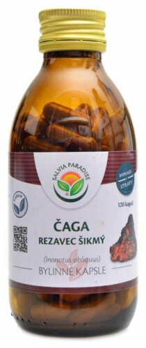 Čaga rezavec šikmý 120 kapslí  Chaga