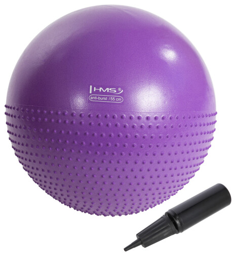 Masážní gymnastický míč YB03N 55 cm fialový