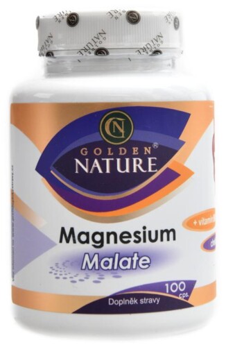 Hořčík magnesium malate 100 kapslí