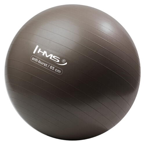 Gymnastický míč YB02N 65 cm bronzový