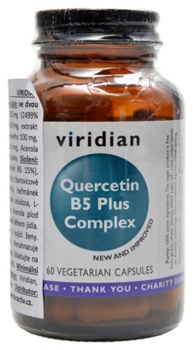 Quercetin B5 Plus Complex 60 kapslí