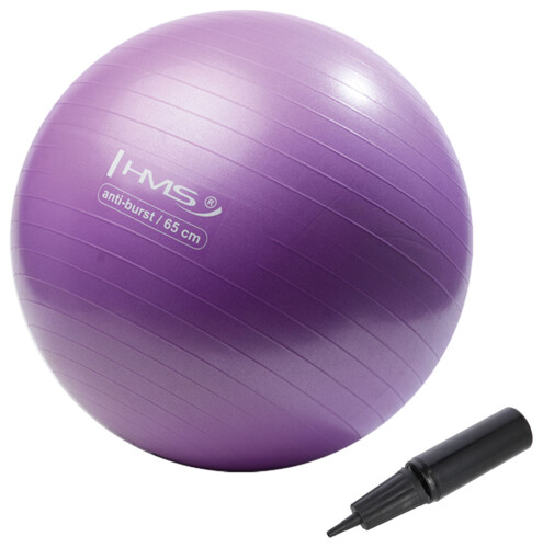 Gymnastický míč YB02N 65 cm fialový