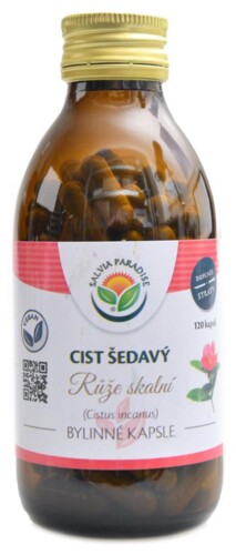 Cist šedavý růže skalní 120 kapslí Cistus incanus