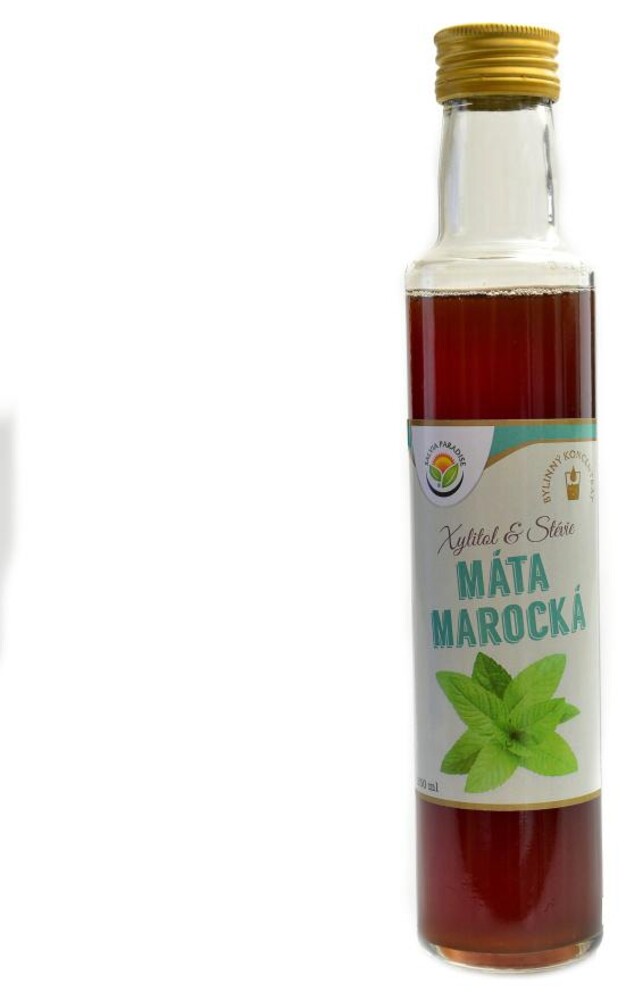 Máta marocká bylinný koncentrát 250 ml Mentha spicata