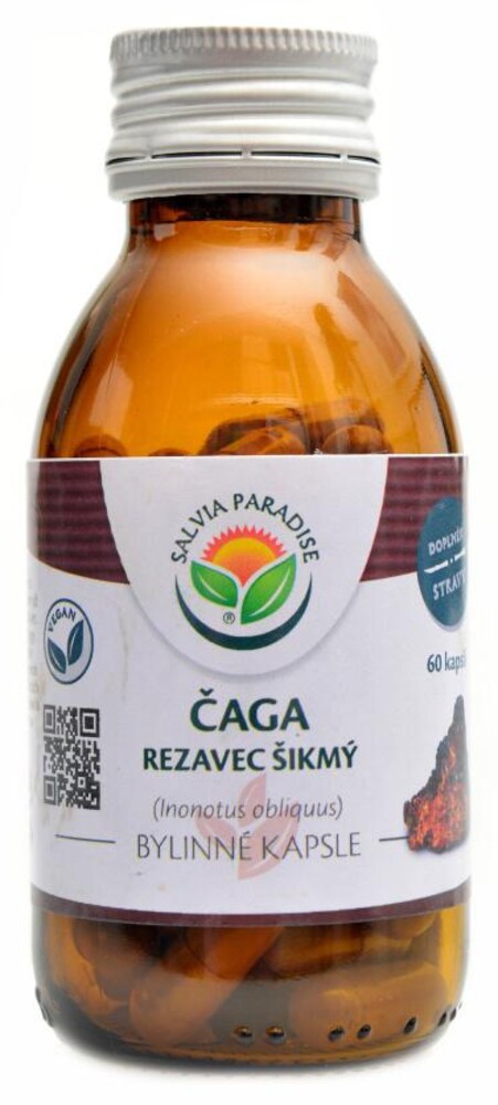 Čaga rezavec šikmý 60 kapslí  Chaga