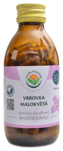 Vrbovka malokvětá 120 kapslí Epilobium parviflorum