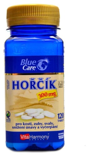 Hořčík 300 mg 120 tablet