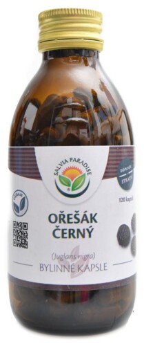 Ořešák černý 120 kapslí Juglans nigra