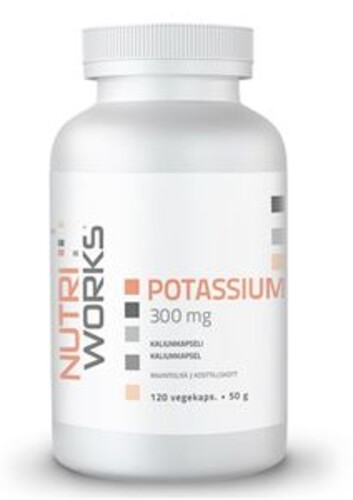 Potassium 300 mg 120 kapslí