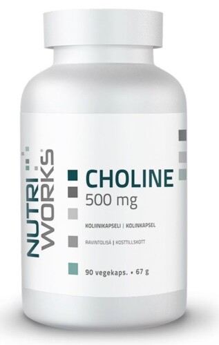 Choline 500 mg 90 kapslí