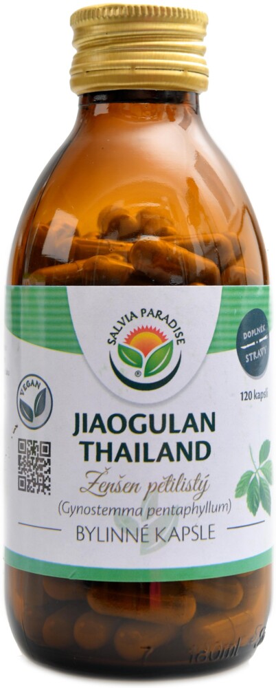 Jiaogulan thailand ženšen pětilistý 120 kapslí Gynostemma pentaphyllum