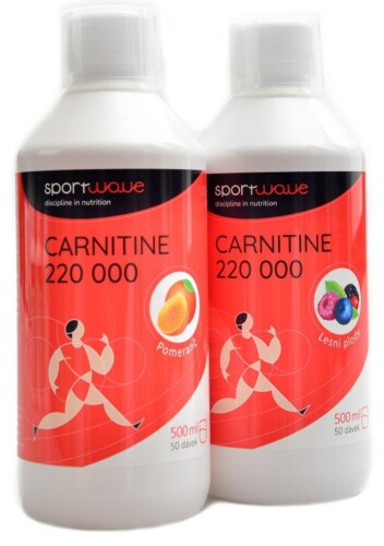 L-Carnitine 220000 2 x 500 ml
