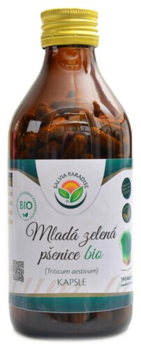 Mladá zelená pšenice 190 kapslí Triticum aestivum