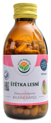 Štětka lesní 120 kapslí Dipsacus fullonum
