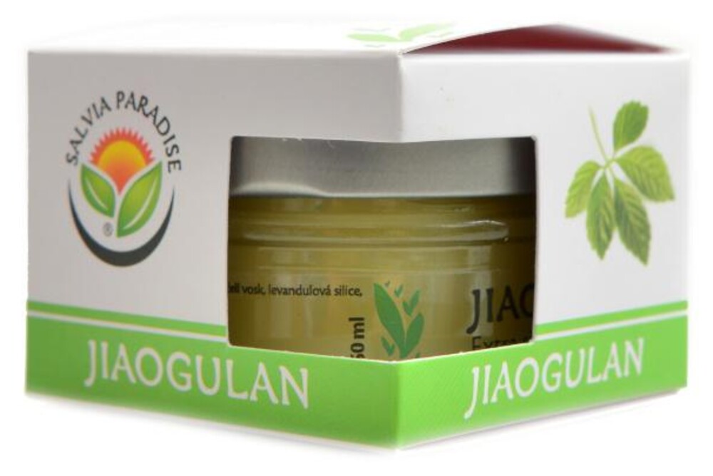 Jiaogulan bylinná mast 50 ml Gynostemma pentaphyllum
