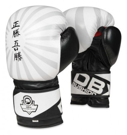 BUSHIDO Boxerské rukavice DBX B-2v8