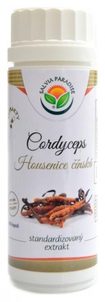Salviaparadise Cordyceps housenice standardizovaný extrakt 100 kapslí Cordyceps sinensis