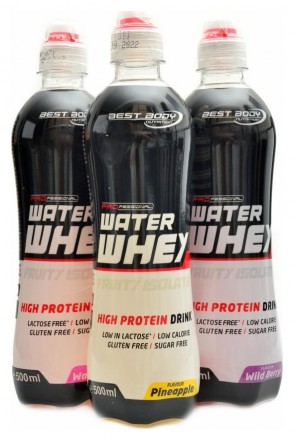 Best body nutrition Professional water whey isolate drink RTD 500 ml