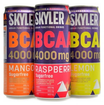 Best body nutrition BCAA drink Skyler 330 ml